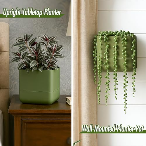 6.5 Inch Wall Mounted Self (6.5" (2 Pack) / Olive)