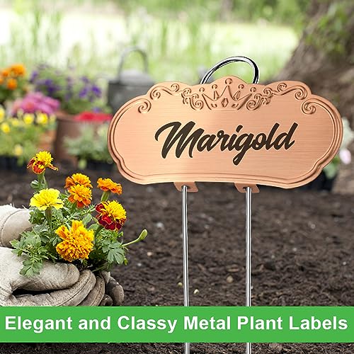 Metal Plant Labels