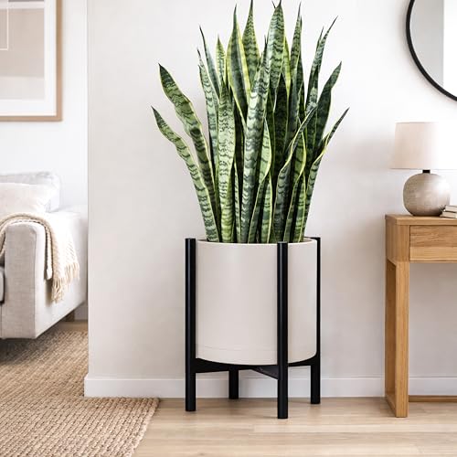 Plastic Pot with Ebony Wood Stand (Oatmeal Pot + Ebony Stand / 16 Inch)