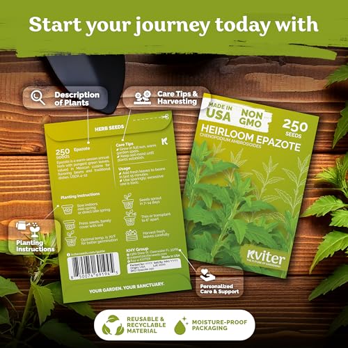 250 Epazote Heirloom Herb Seeds for Planting