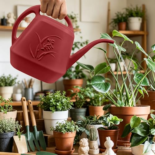 Watering Can with Long Spout 1 Gallon (Wine Red)