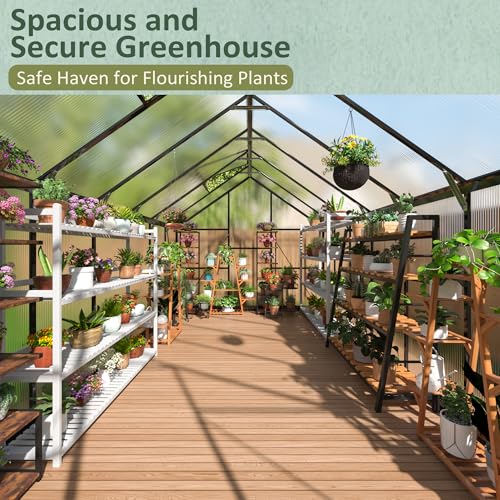 8x14 FT Walk in Heavy Duty Greenhouse for Outdoors (8×14 FT)