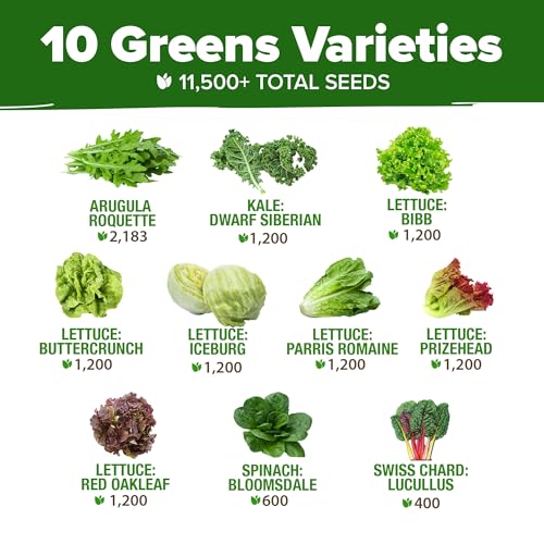 10 Variety Lettuce Seed Mix
