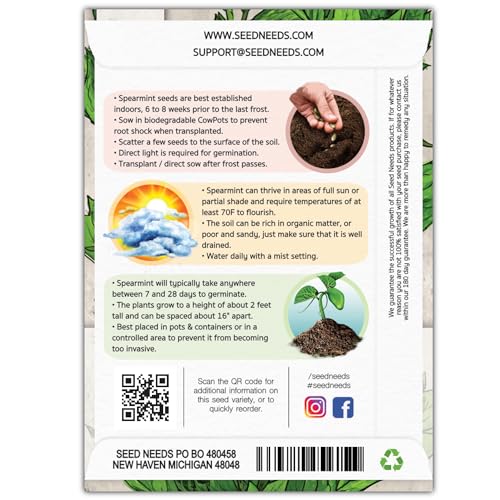 Spearmint Seeds to Plant Heirloom Non (2 Packs)