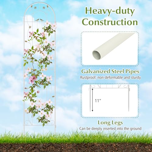 2 Pack Garden Trellis (87"x20" (2 Pack) / White)