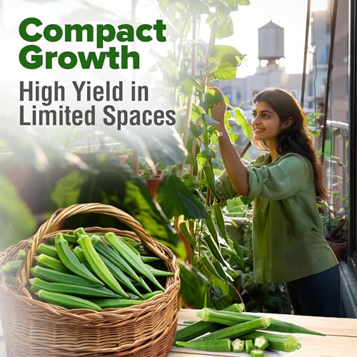 Clemson Spineless Okra Seeds (2 Count)