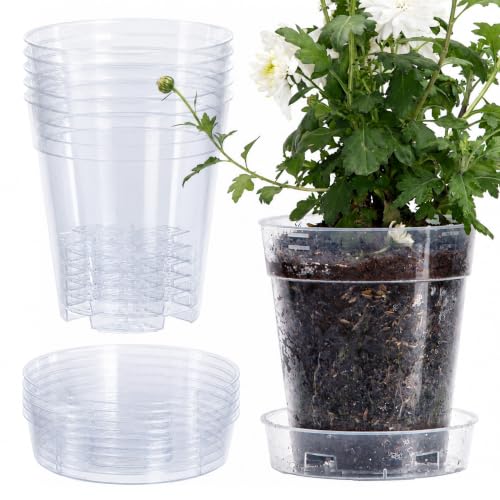 1 Gallon 6 Inch Clear Plastic Plant Pot with Drainage Holes (6.5" x 7")