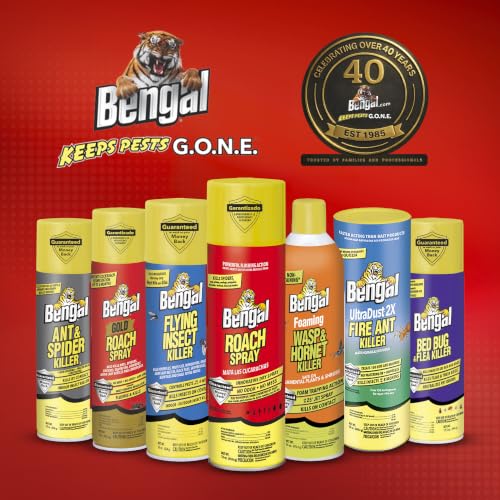 Roach Spray Dry Aerosol Indoor Roach Killer (9 Ounce)
