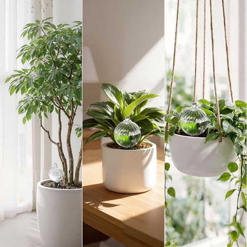 12 oz Up to 1 Week Glass Plant Watering Globe with Terracotta Spikes (12 oz – 4 Pack)