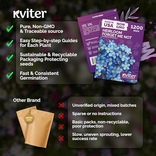 1200 Forget Me Not Heirloom Flower Seeds for Planting