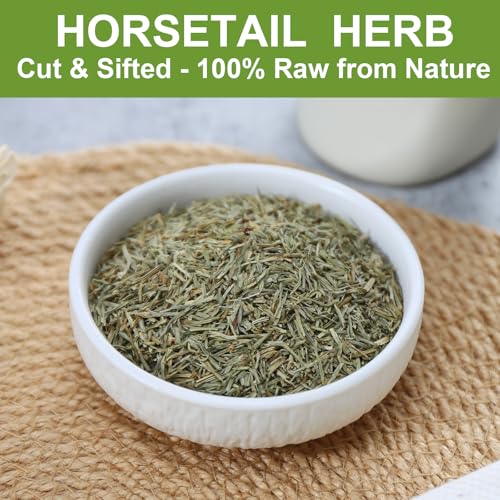 Horsetail Tea Loose Leaf (6 Ounce (Pack of 1))
