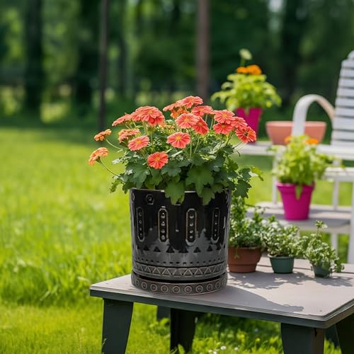 Ceramic Plant Saucer (9.3 Inch / Black)