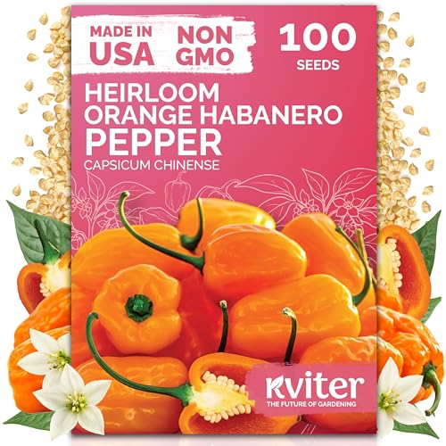 100 Orange Habanero Hot Pepper Heirloom Vegetable Seeds