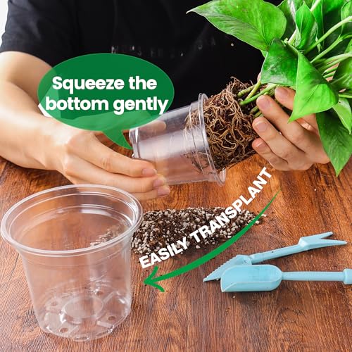 Clear Nursery Pots with Saucers (8 Inch-8Pcs)