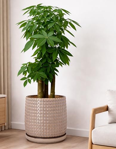 Beaded Ceramic Pot with Saucer (10.2 Inch / Light Brown)
