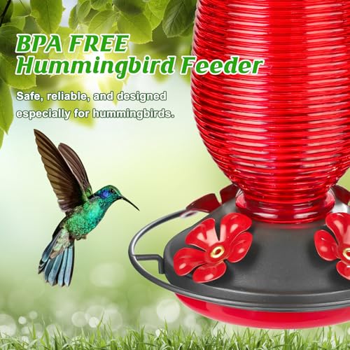 Glass Hummingbird Feeder for Outdoors Hanging