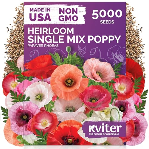5 000 Single Mix Poppy Heirloom Flower Seeds for Planting