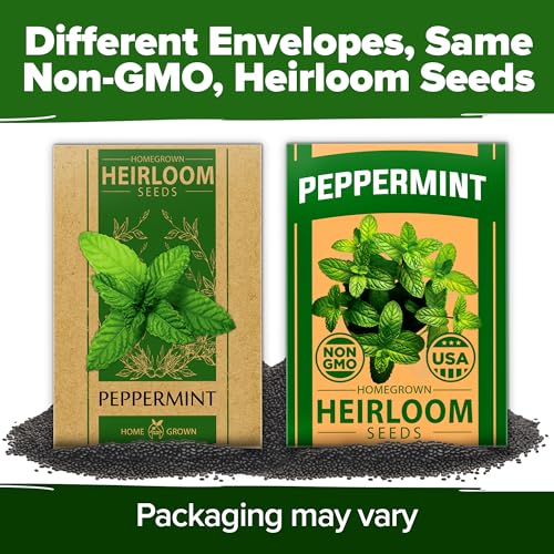 Peppermint Seeds
