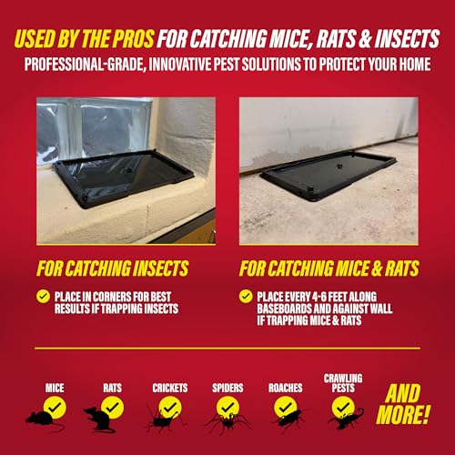 Rat & Mouse Glue Traps 8 Pack (8 Regular)
