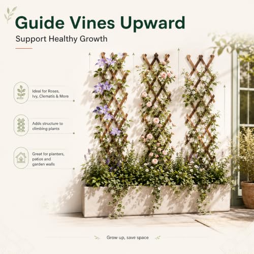 Wooden Lattice Panels 1Pack (6.14 Sq Ft)