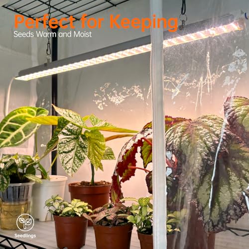6 Tier Indoor Greenhouse with Grow Light