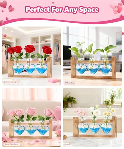 Plant Terrarium with Wooden Stand (Transparent)