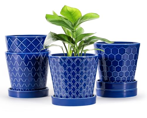 Ceramic Plant Pots