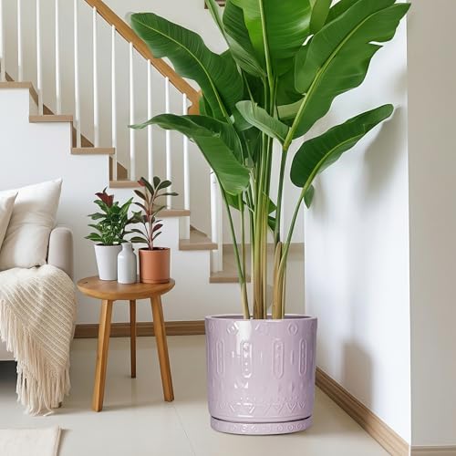 Ceramic Plant Saucer (11.4 Inch / Purple)