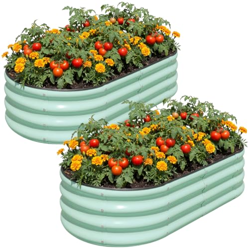 Raised Garden Bed Outdoor 4x2x1ft (2 Count)