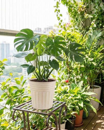 5 Inch Galvanized Bucket Planters (Beige / 5 inch)