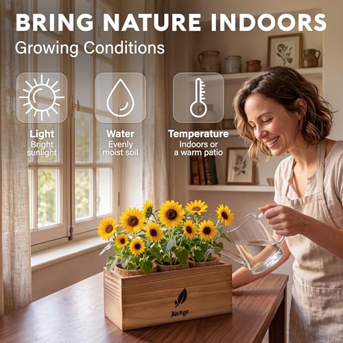 Sunflower Seeds Growing Kit