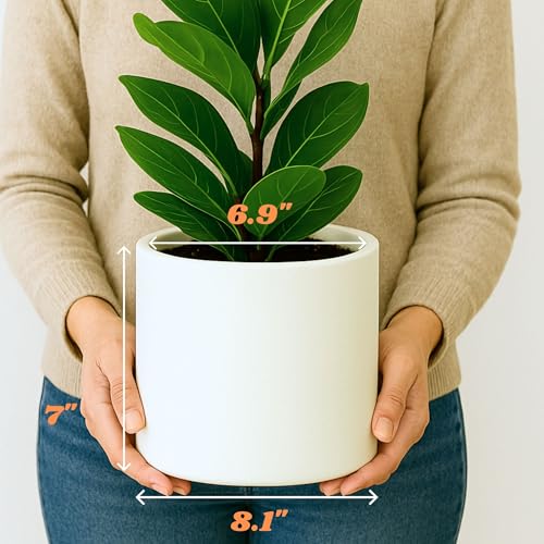 Large Planter for Indoor or Outdoor (Matte White / 8 Inch)