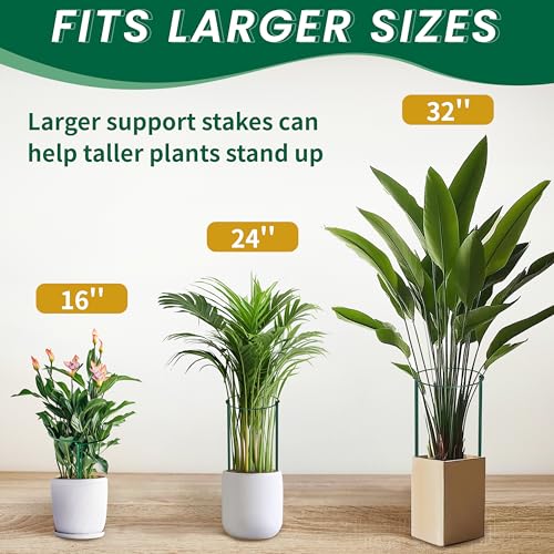 14" Dx32 H Plant Supports Stakes for Large Heavy Plants (14"Dx32"H-10PCS)