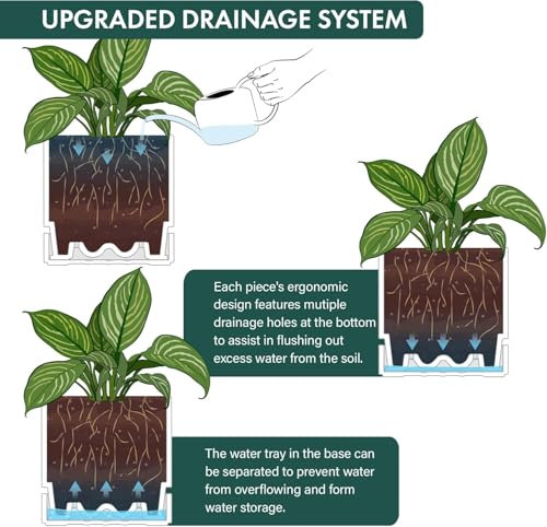 8 Inch Planter Pot with Drainage Hole & Saucer