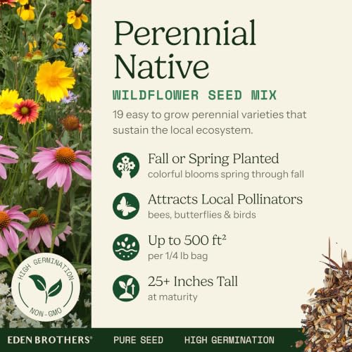 Native Perennial Wildflower Seed Mix (1 Ounce / Native Perennial)