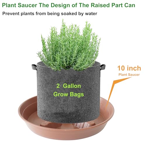 4 Pack Plant Saucer 10 inch (10"-4 Pack / Brown)