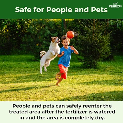 13-13-13 Slow Release Granular Fertilizer – All Purpose Plant Food 13 13 13 for Outdoor Grass, Vegetables, Roses, Flowers, Shrubs, Trees. Lawns, Gardens, Potted Plants (1/2 Quart) (16 Ounce)