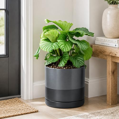 10 Inch Ceramic Planter Pot (Large / Slate)