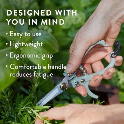 Pruning Shears (Multicolor - 4pcs)