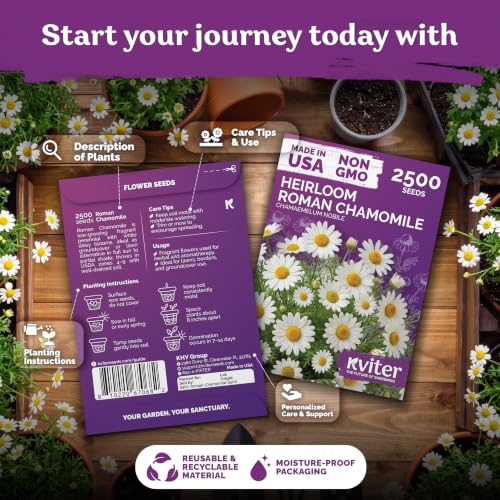 2500 Roman Chamomile Heirloom Perennial Flower Seeds