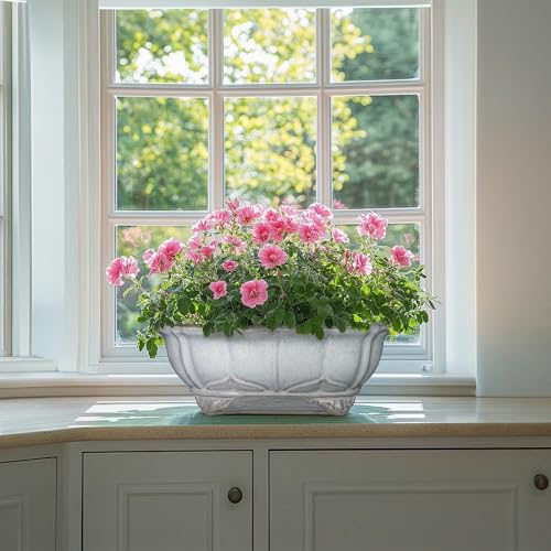 13.2 Inch Succulent Pots (13.5 Inch / Oval Grey)