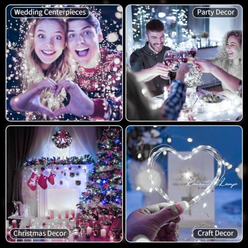 14 Pack Fairy Lights Battery Operated (2032-14 Pack-Cool White)