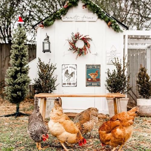 Chicken Coop Metal Signs for Outdoor (a01)