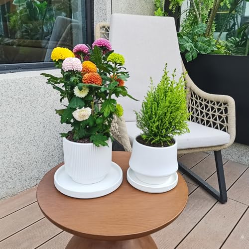 Ceramic Plant Saucer 5 Inch (5in(2 Pack) / Frosted White)