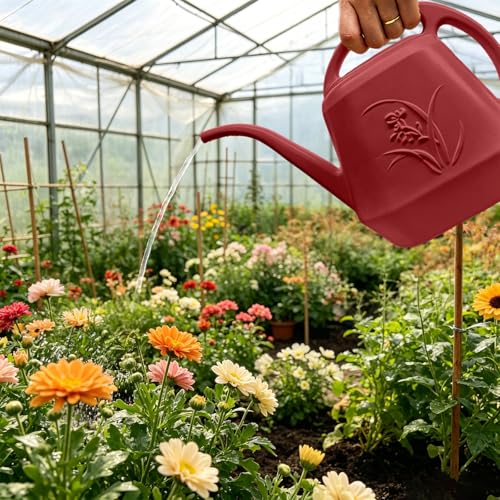 Watering Can with Long Spout 1 Gallon (Wine Red)