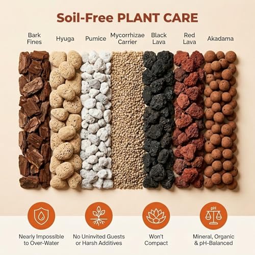 Molly's Succulent Potting Mix