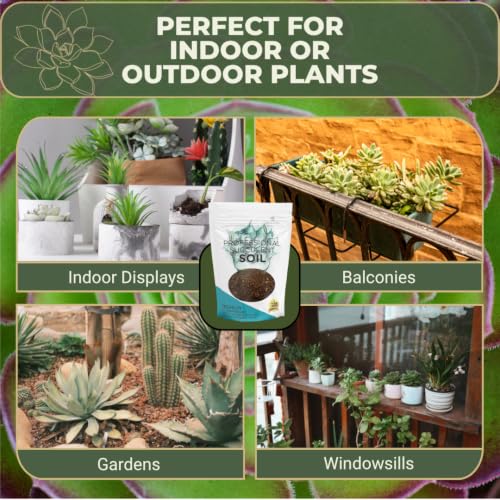 Professional Succulent Soil Mix Ready to Use Extra Large 8.2 Quarts (262.4 Ounce)