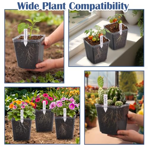 5.5 Inch Clear Square Nursery Pots with Drainage & Labels (Clear Pot+labels / 5.5Inch)