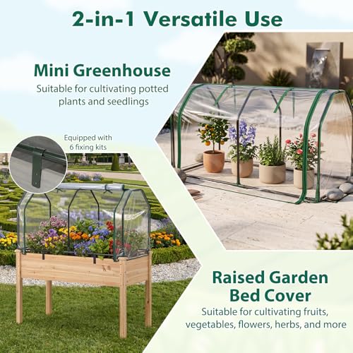 Portable Mini Greenhouse w (Clear)