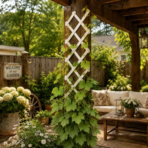 4Pcs Expandable Garden Trellis (White / 13"x68"x4PC)